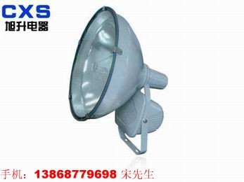 供应投光灯 三防灯 电厂灯 景观灯